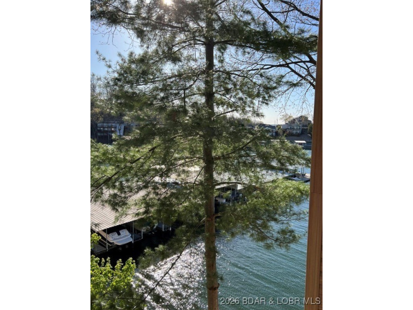 Discover your dream getaway at Lake Ozark! This spacious - photo 18