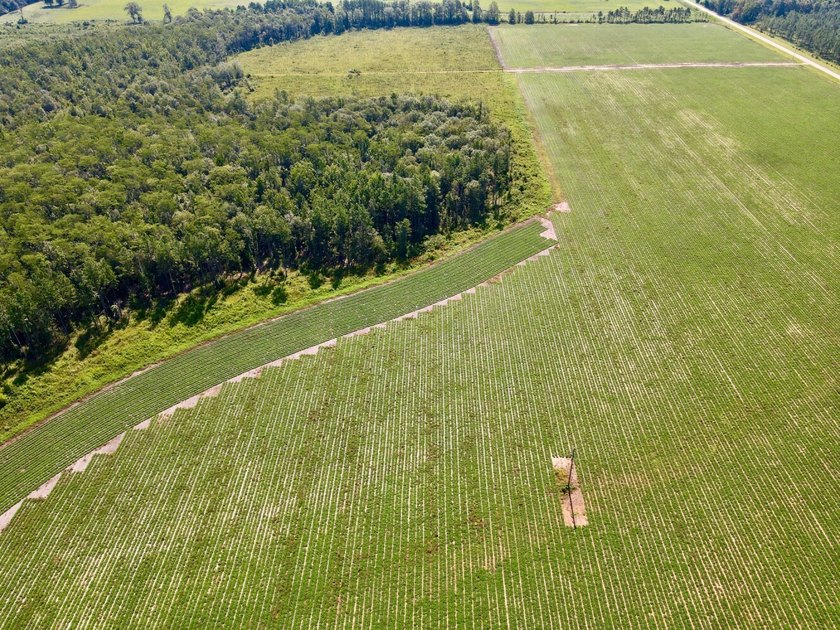 This diverse income-producing farm is located between Huxford - photo 15