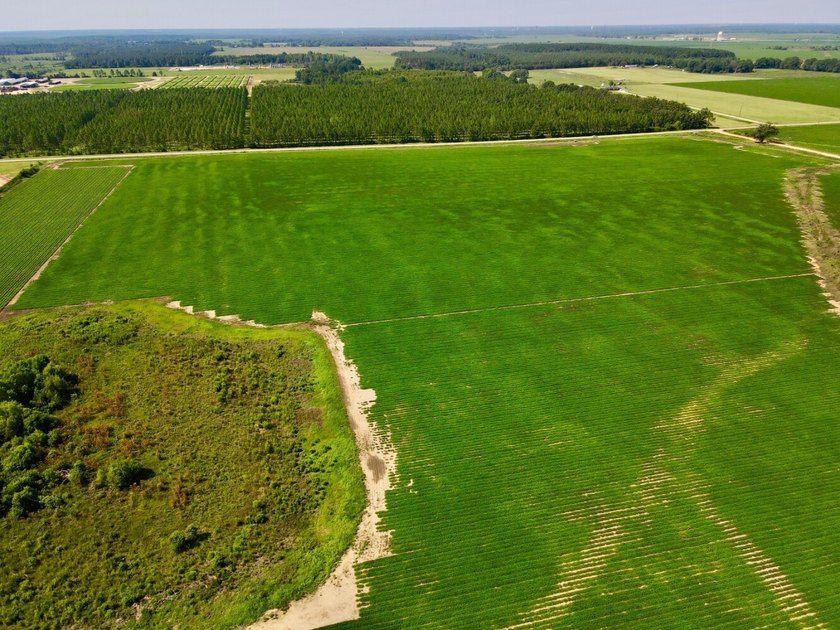 This diverse income-producing farm is located between Huxford - photo 22