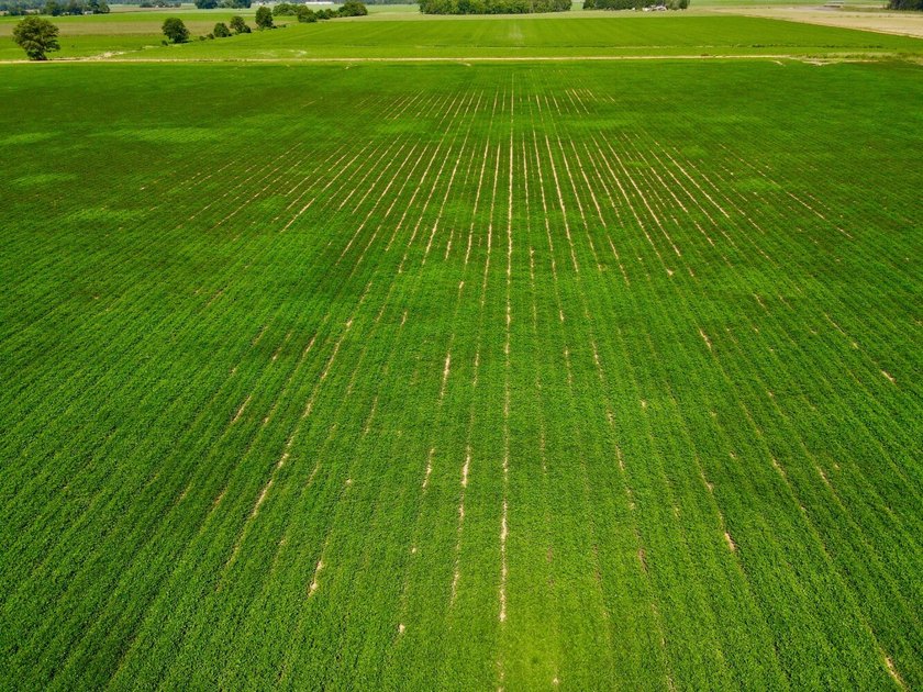 This diverse income-producing farm is located between Huxford - photo 30
