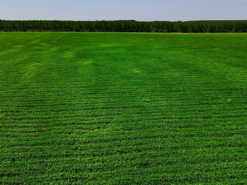 This diverse income-producing farm is located between Huxford - photo 31