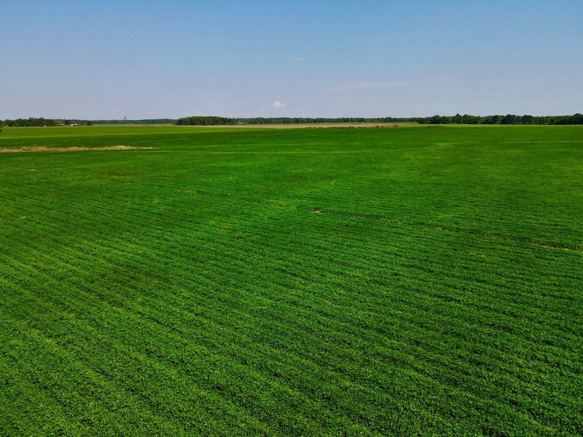 This diverse income-producing farm is located between Huxford - photo 32