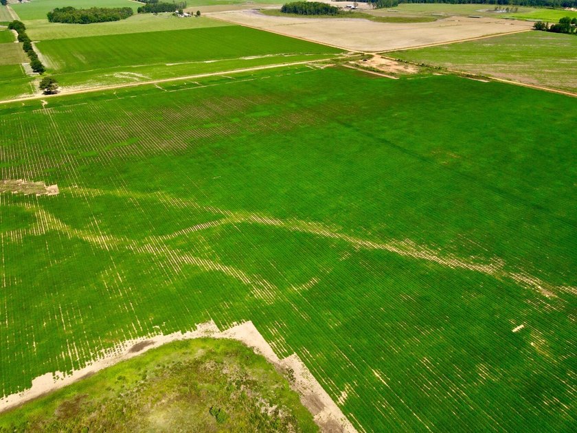 This diverse income-producing farm is located between Huxford - photo 33