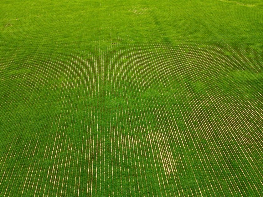 This diverse income-producing farm is located between Huxford - photo 34