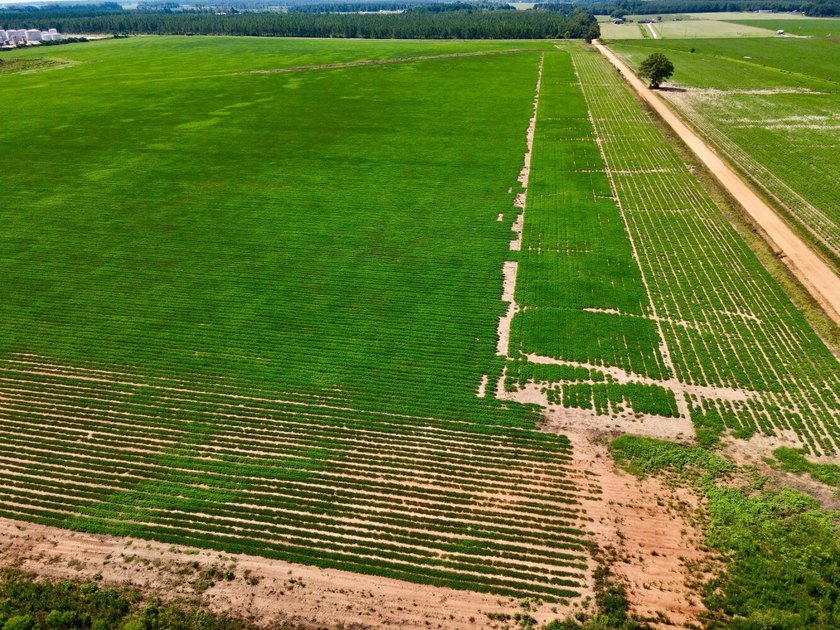 This diverse income-producing farm is located between Huxford - photo 35