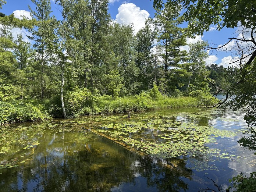 Rare acreage opportunity on quiet North Lake! This peninsula has - photo 2