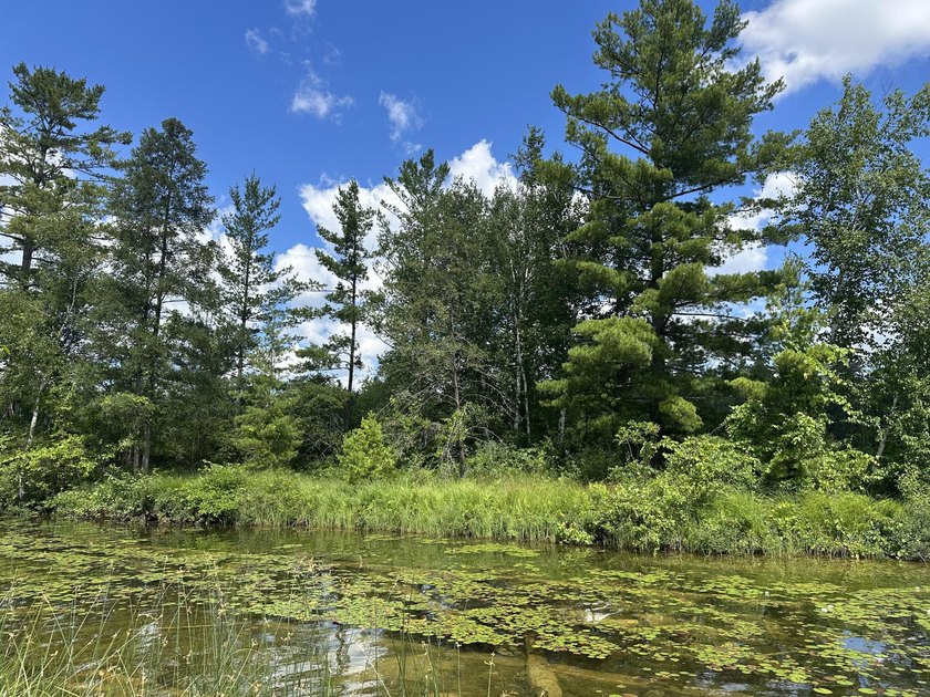 Rare acreage opportunity on quiet North Lake! This peninsula has - photo 5