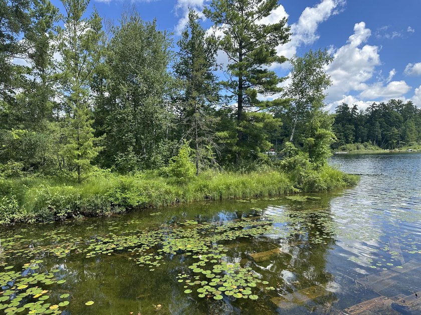 Rare acreage opportunity on quiet North Lake! This peninsula has - photo 6