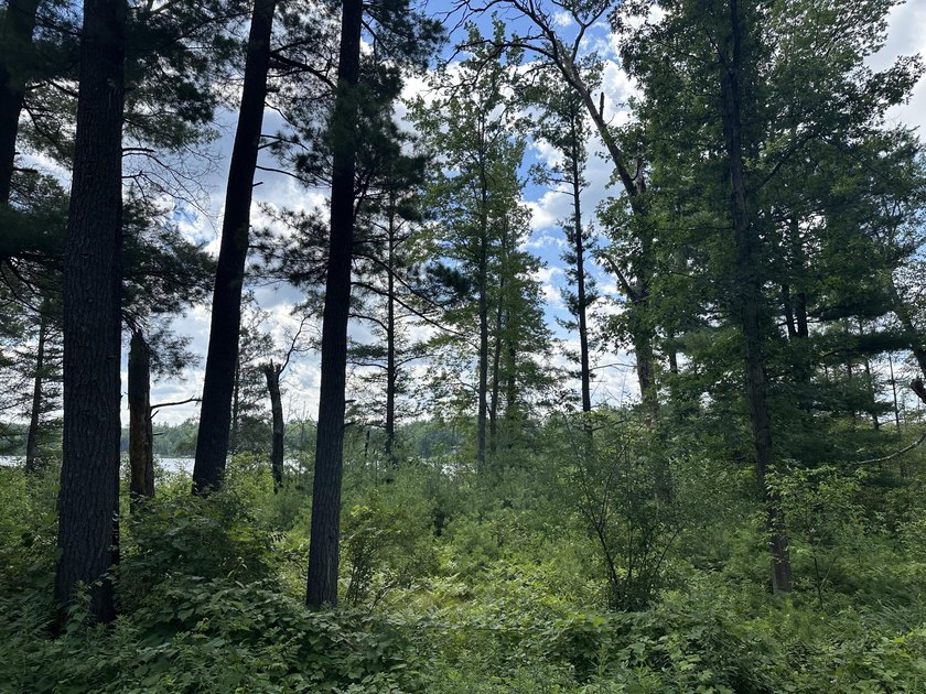Rare acreage opportunity on quiet North Lake! This peninsula has - photo 7