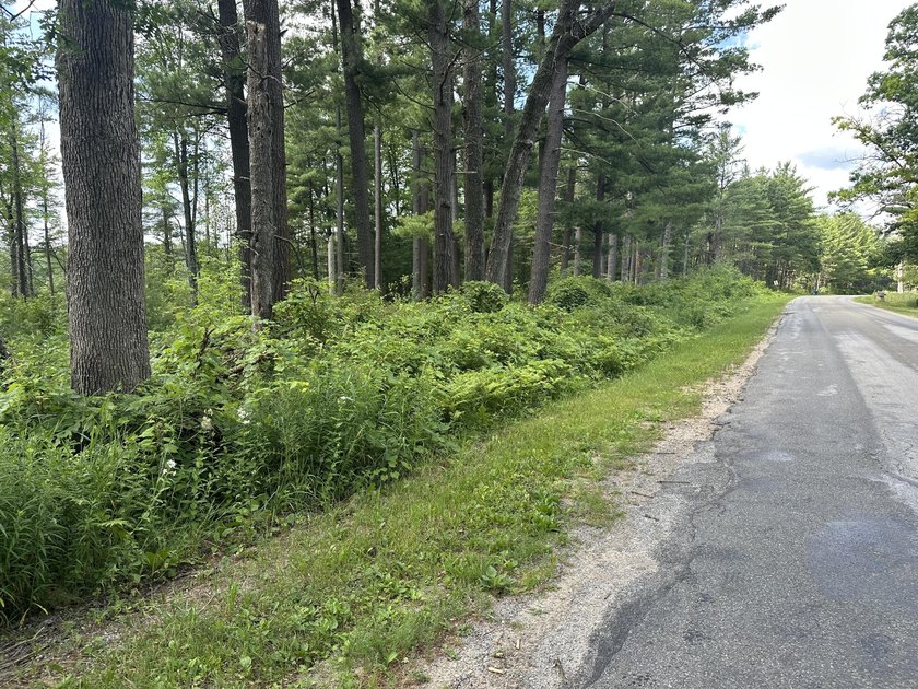 Rare acreage opportunity on quiet North Lake! This peninsula has - photo 9