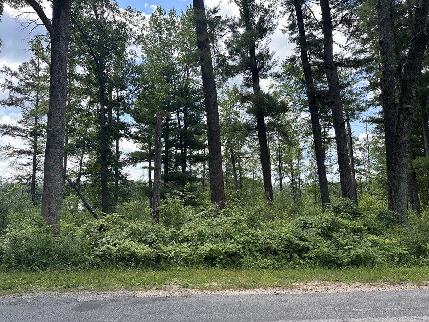 Rare acreage opportunity on quiet North Lake! This peninsula has - photo 10