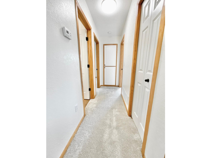 The ultimate lake-view home, Steps from the Spring Lake public - photo 16