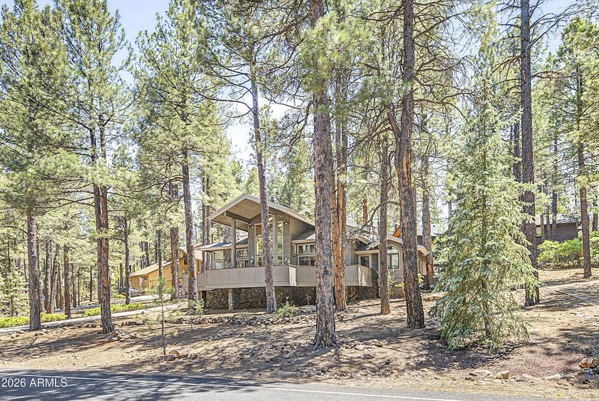 Majestic home perched on a large custom lot with tons of windows - photo 5