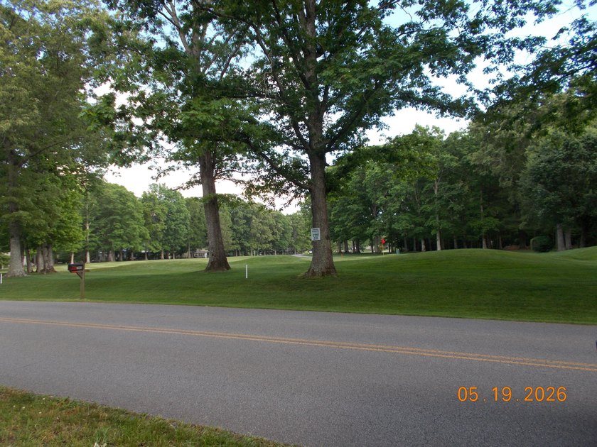 ONE OF THE MOST BEAUTIFUL LOTS IN LAKE TANSI...DIRECTLY ACROSS - photo 8