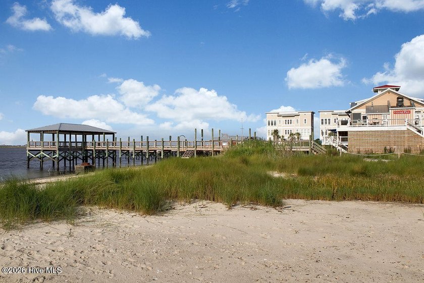 Incredible opportunity to own a BRAND NEW coastal-inspired - photo 50