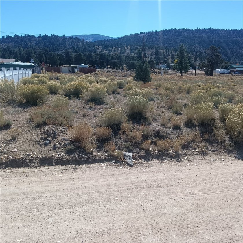 777 Old Pioneer Town Rd - photo 5