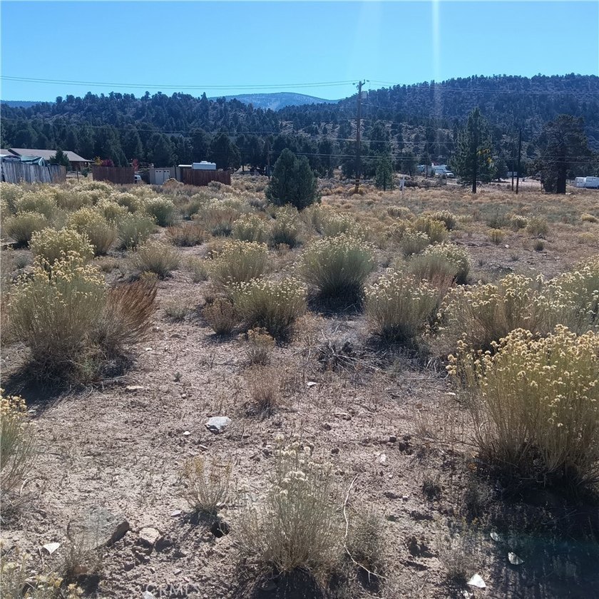 777 Old Pioneer Town Rd - photo 6