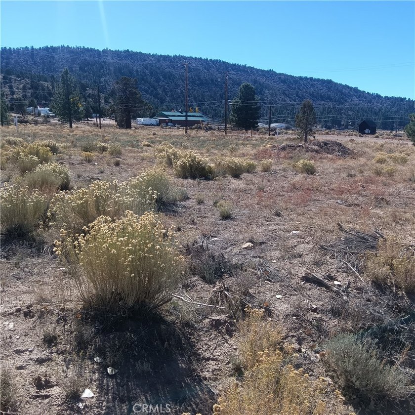 777 Old Pioneer Town Rd - photo 7