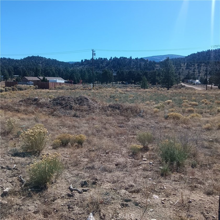 777 Old Pioneer Town Rd - photo 8