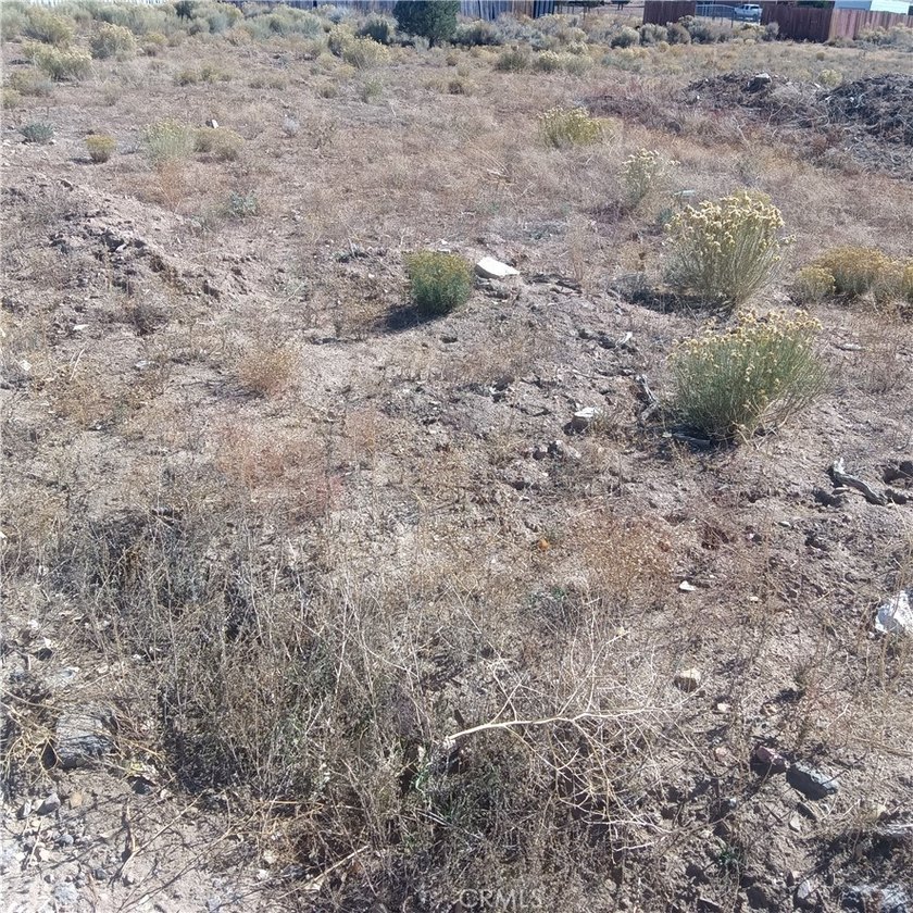 777 Old Pioneer Town Rd - photo 9
