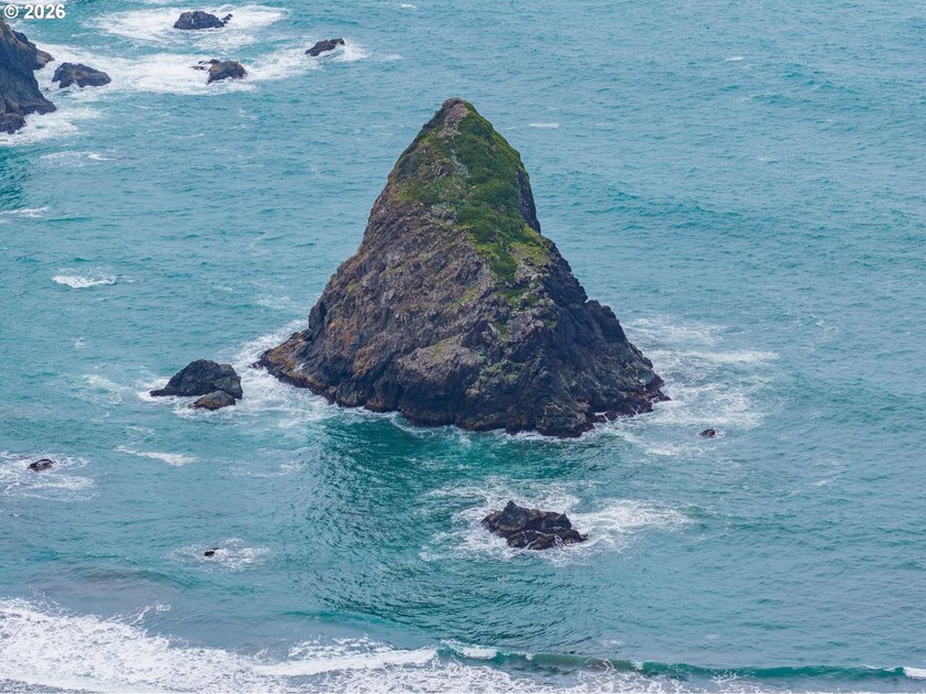 Wooded coastal retreat in the highly desirable Whaleshead Beach - photo 35