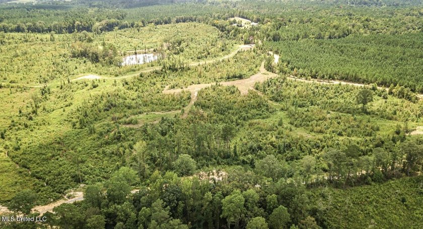 Located off Attala Road 3027 in Attala County, Mississippi, this - photo 2
