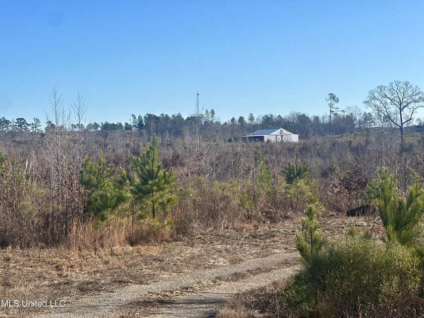 Located off Attala Road 3027 in Attala County, Mississippi, this - photo 5