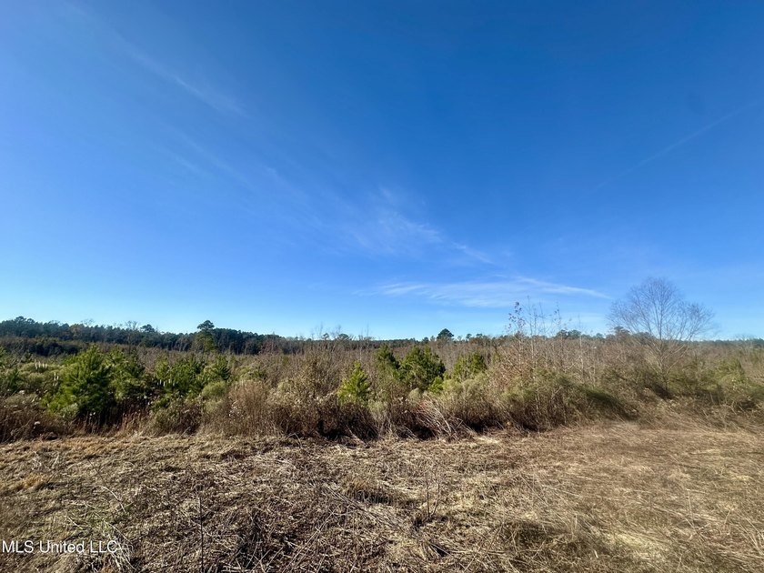 Located off Attala Road 3027 in Attala County, Mississippi, this - photo 9