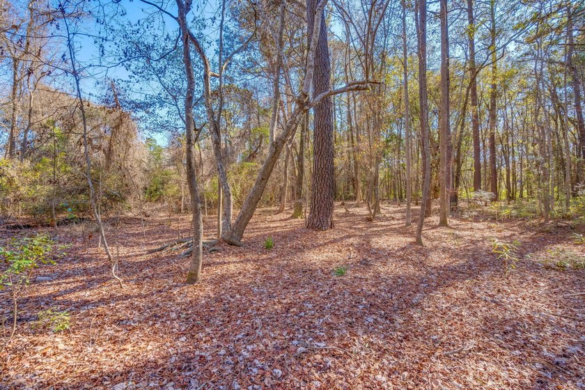 Discover the perfect opportunity to create your own Lowcountry - photo 14