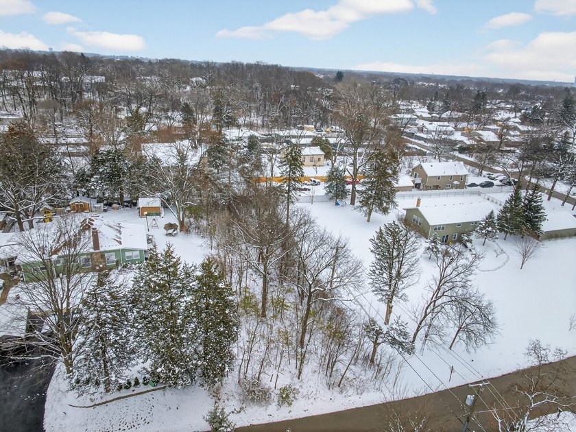 Buildable lot located in unincorporated Lake County! This - photo 10