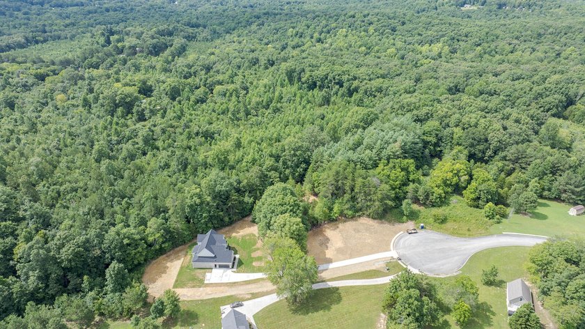 Luxury living at its finest in this stunning New construction - photo 46