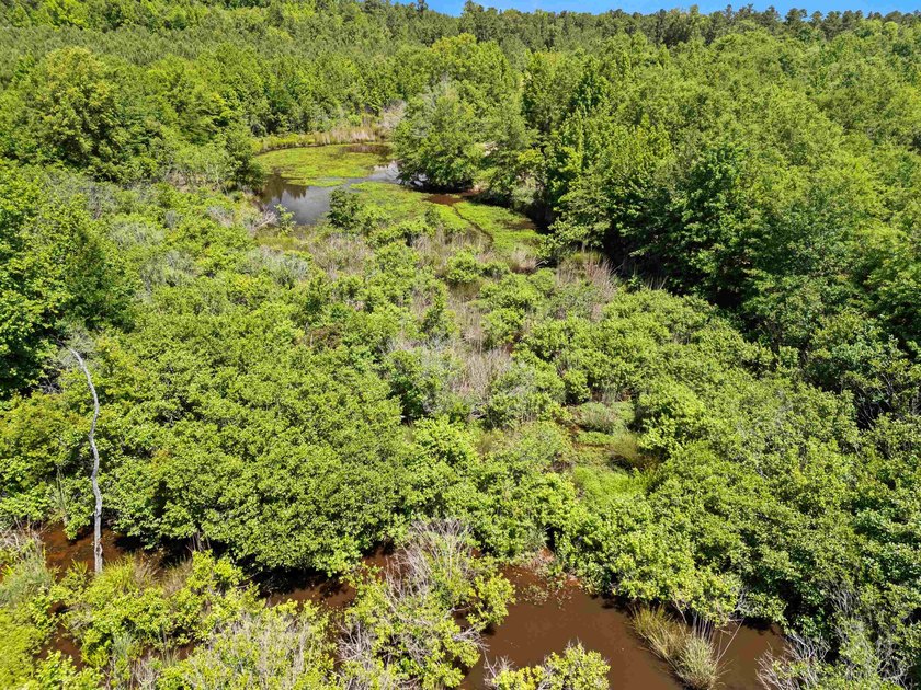Escape to the peace and privacy of this stunning 29.16-acre - photo 22