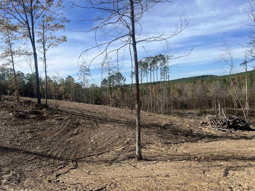 Beautiful Homesite Available! Partially cleared, ridge top views - photo 2