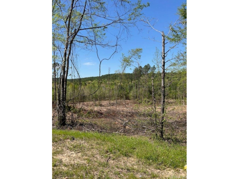 Beautiful Homesite Available! Partially cleared, ridge top views - photo 3
