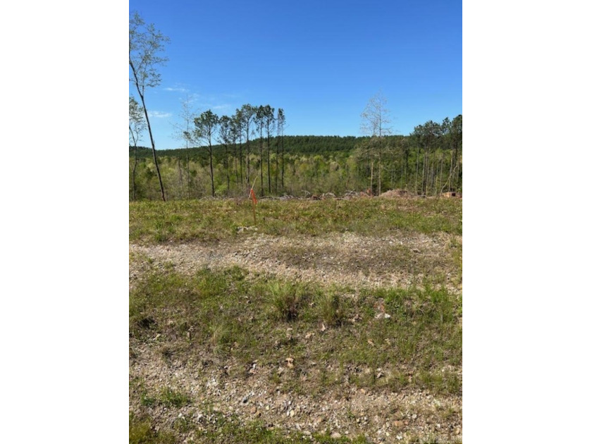 Beautiful Homesite Available! Partially cleared, ridge top views - photo 4