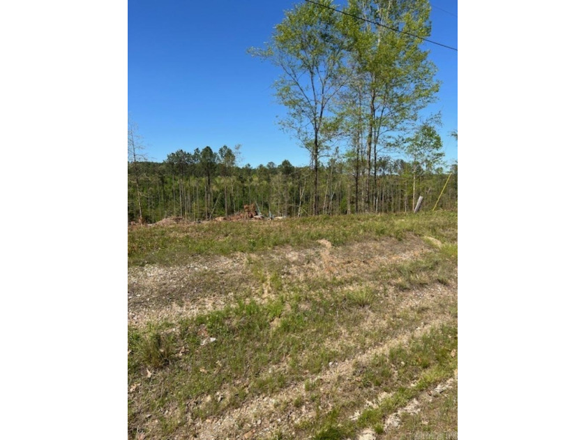 Beautiful Homesite Available! Partially cleared, ridge top views - photo 5