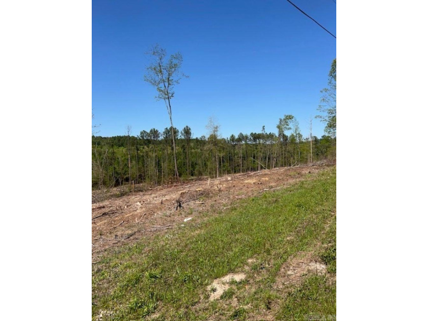 Beautiful Homesite Available! Partially cleared, ridge top views - photo 6