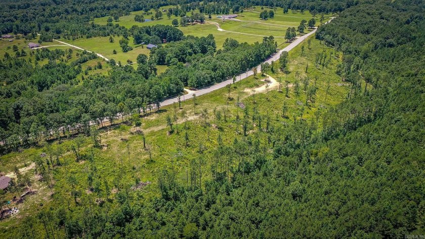 Beautiful Homesite Available! Partially cleared, ridge top views - photo 8