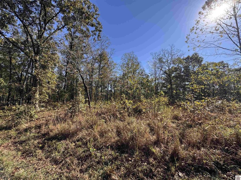 Explore 29.17 acres of beautiful countryside just moments from - photo 3