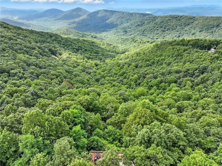 THAT VIEW . . . This perfect mountain cabin sits at over 3000 - photo 4