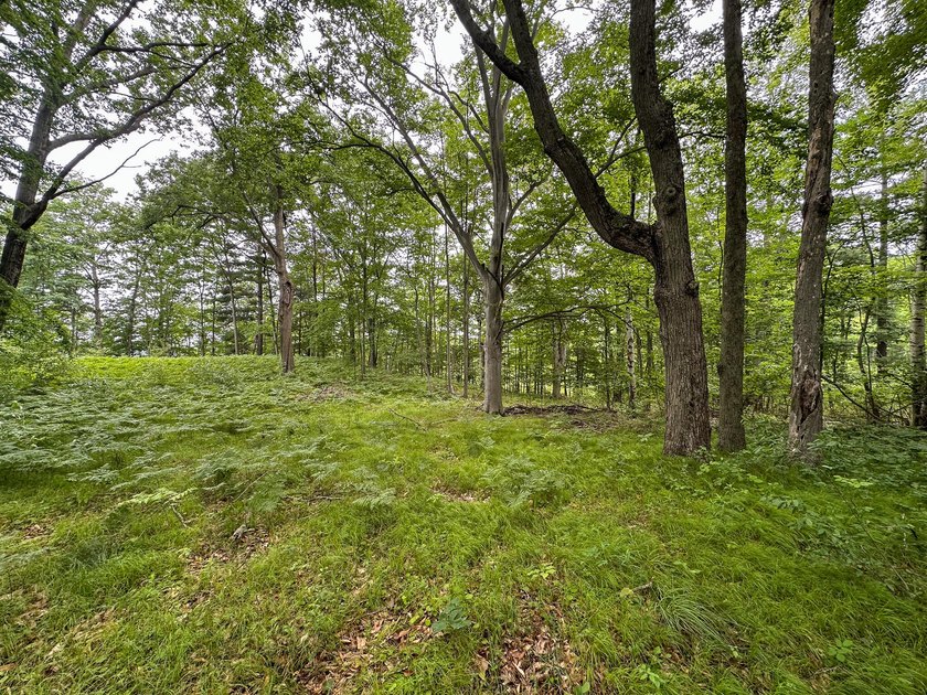 Don't miss this outstanding 40-acre recreational property in the - photo 2