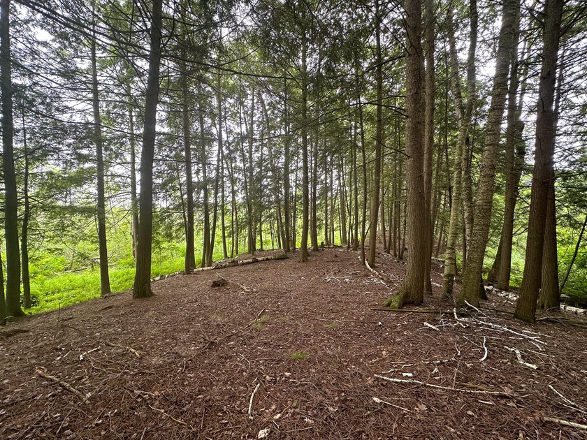 Don't miss this outstanding 40-acre recreational property in the - photo 3