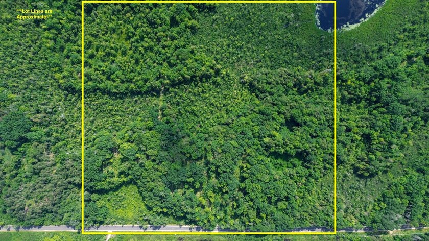 Don't miss this outstanding 40-acre recreational property in the - photo 5