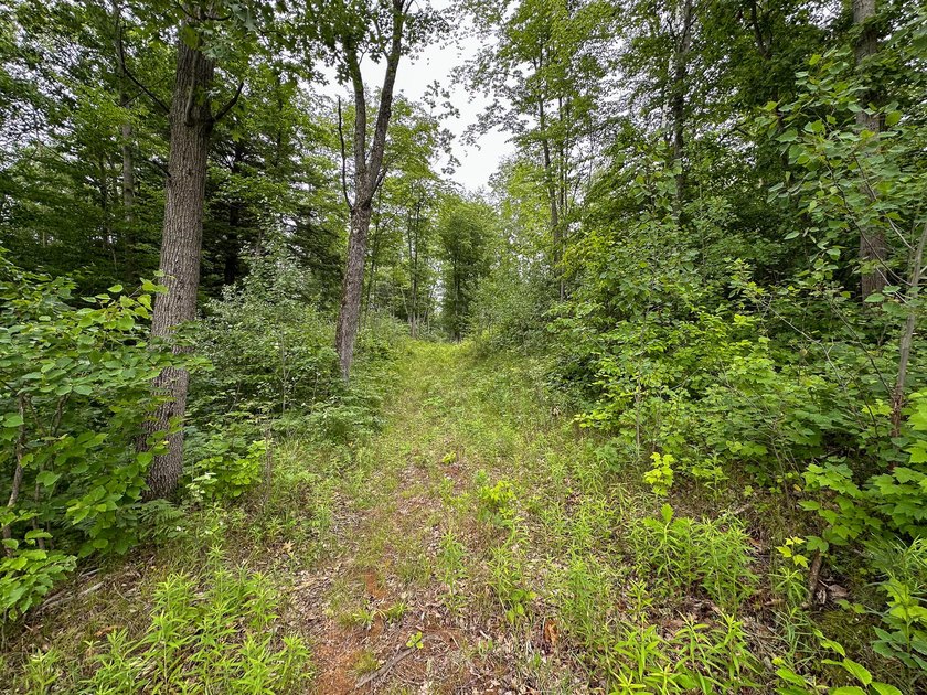 Don't miss this outstanding 40-acre recreational property in the - photo 7