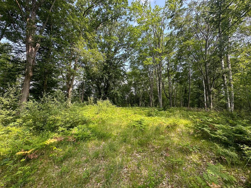 Don't miss this outstanding 40-acre recreational property in the - photo 10