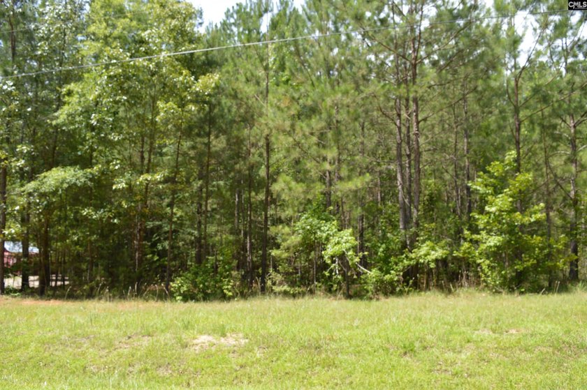 Wooded lot in an off-lake subdivision with a common area - photo 2