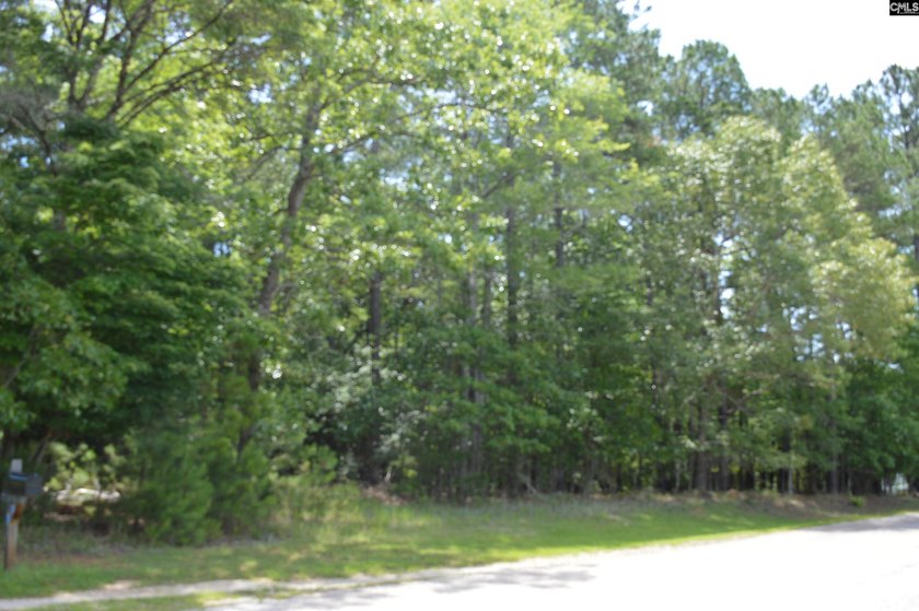 Wooded lot in an off-lake subdivision with a common area - photo 3