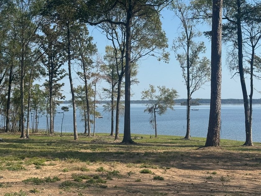 Located in the restricted neighborhood of Eagles Landing off FM - photo 17