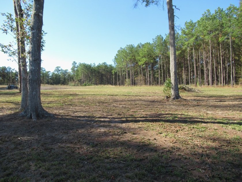 Located in the restricted neighborhood of Eagles Landing off FM - photo 23