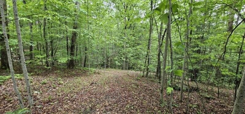 Picture perfect land on the creek. This lot consists of 3 - photo 22